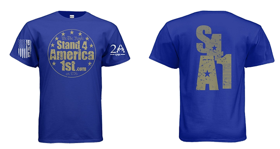 s4a1-blue-t_edited.png